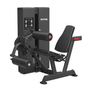 Evolve Leg Extension / Leg Curl