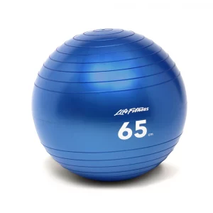 Exercise Balls (65cm)